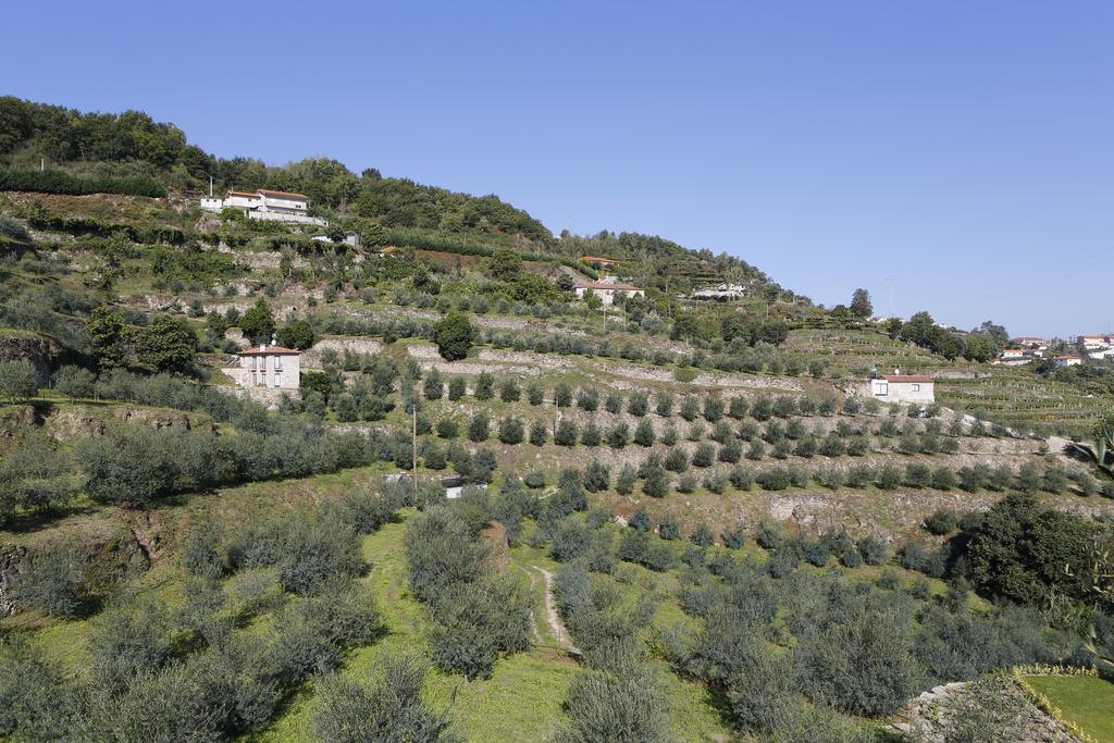 הוילה ריבה דורו Casa Dos Becos מראה חיצוני תמונה