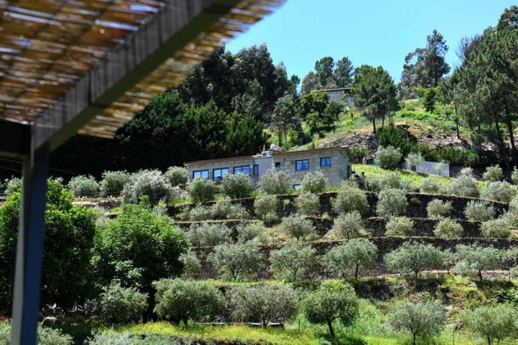הוילה ריבה דורו Casa Dos Becos מראה חיצוני תמונה