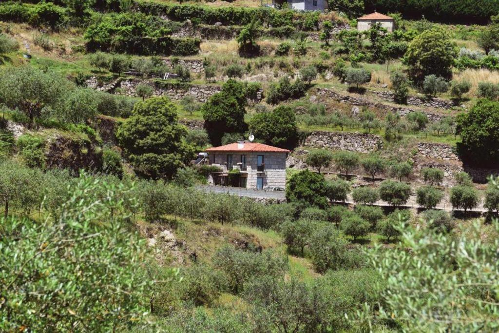 הוילה ריבה דורו Casa Dos Becos מראה חיצוני תמונה