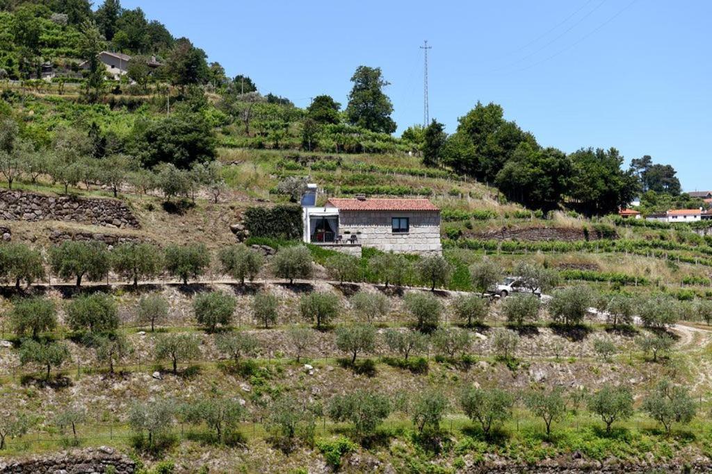הוילה ריבה דורו Casa Dos Becos מראה חיצוני תמונה